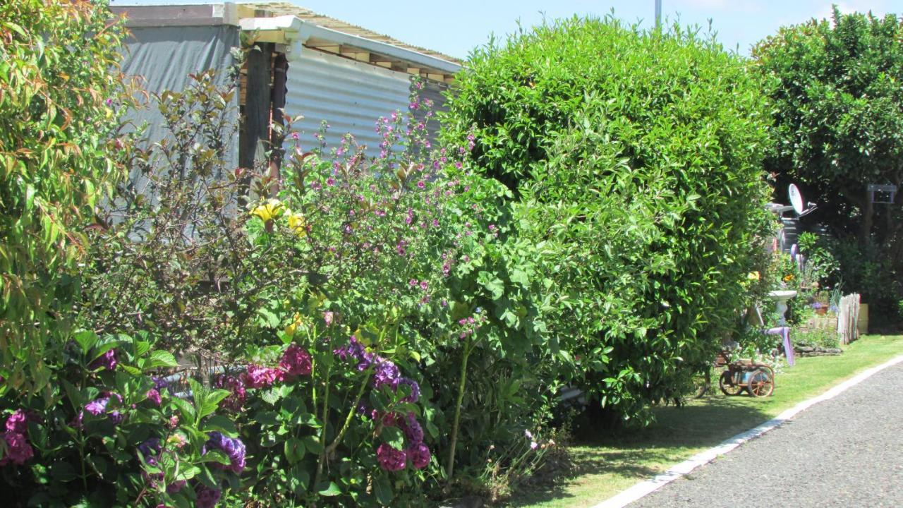 Cozy Haven - Waihi Διαμέρισμα Εξωτερικό φωτογραφία